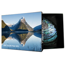 Load image into Gallery viewer, Fully Polished Paua Shell