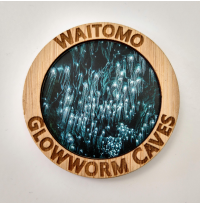 CMGLOW Waitomo Circular Magnet