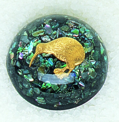 DK45 Kiwi Domed Paperweight