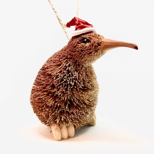 Kiwi Natural with Xmas Hat