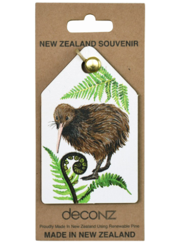 NZ MADE ECO KIWI DRAWING