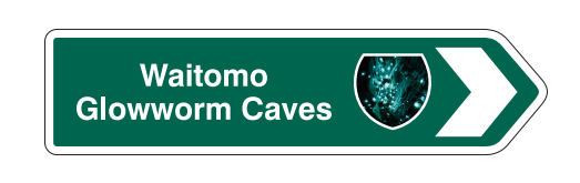 RSM Waitomo Glowworm Magnet