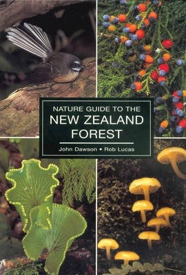 Nature Guide To Nz Forest
